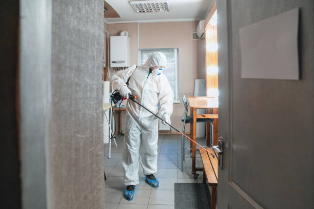 Why You Should Choose Our Mold Remediation Services in Falls Church, VA